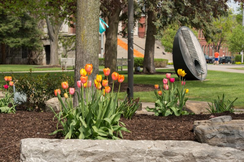 Faculty Can Apply Now for 2023 Assessment Leadership Institute Mini-Grant