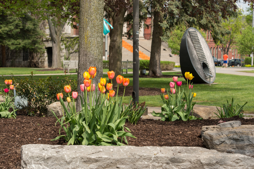 Faculty Can Apply Now for 2023 Assessment Leadership Institute Mini-Grant