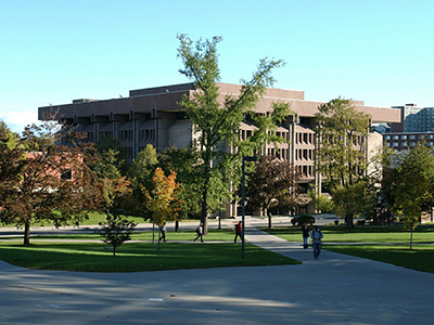 Libraries Acquire Springer and Palgrave eBook Package
