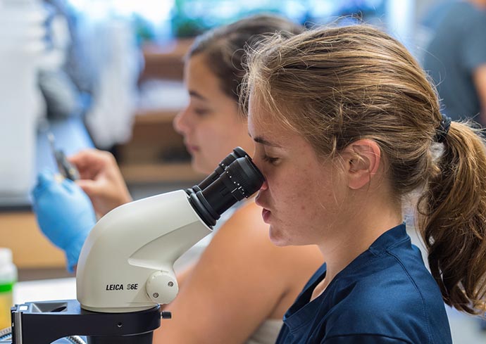 Syracuse University to Invest $1 Million Annually to Expand Undergraduate Research, Creative Opportunities