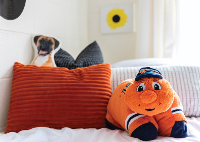 Space Hacks, Thrifting, Upcycling: Room Décor Inspo From Professional Designers (With Podcast)