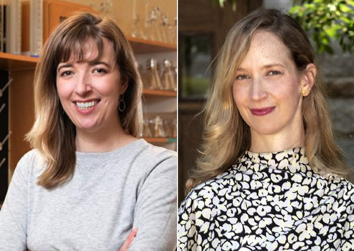 Crown Honors Professors Hehnly, Nisenbaum Recognized