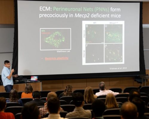 man presenting a scientific project on a big screen to an audience