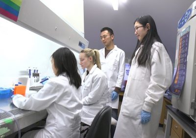 Researcher Awarded NSF Future Manufacturing Seed Grant for Scale-Up Manufacturing of Therapeutic Cell Products