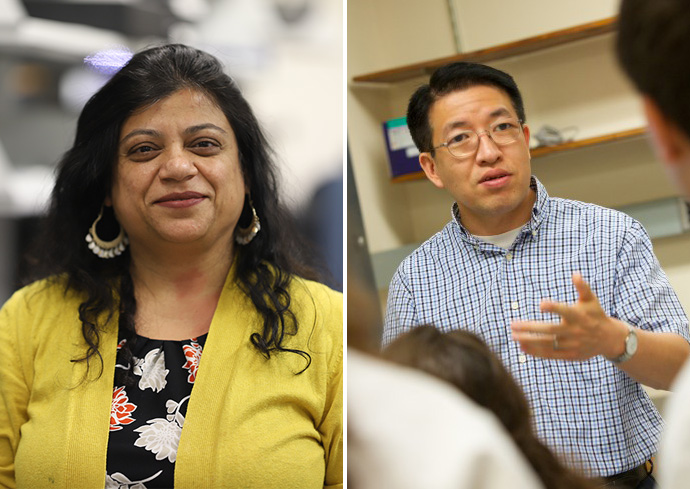 University Part of Collaborative Team Researching Preventing Infections in Engineered Tissue and Implantable Devices