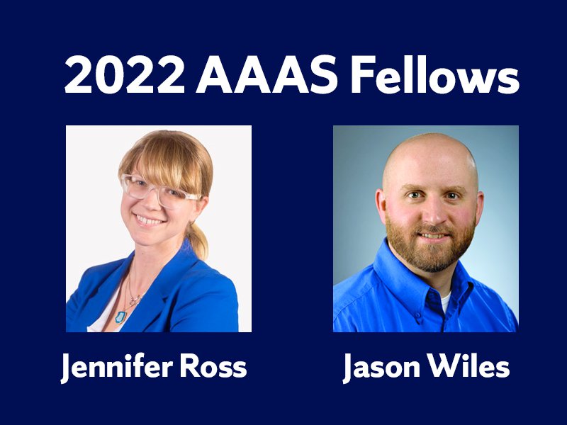 Arts and Sciences Professors Honored by American Association for the Advancement of Science