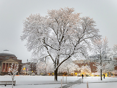 Nationwide Search for New Director of Sponsored Accounting to Begin in February