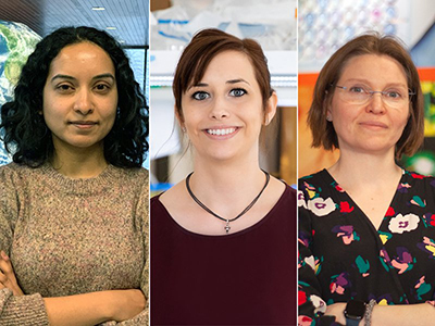 3 Faculty Members Collect Top National Awards and Grants