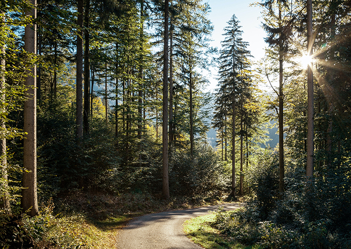 New Sustainability Leadership Program Aims to Create Visionary and Ethical Leaders