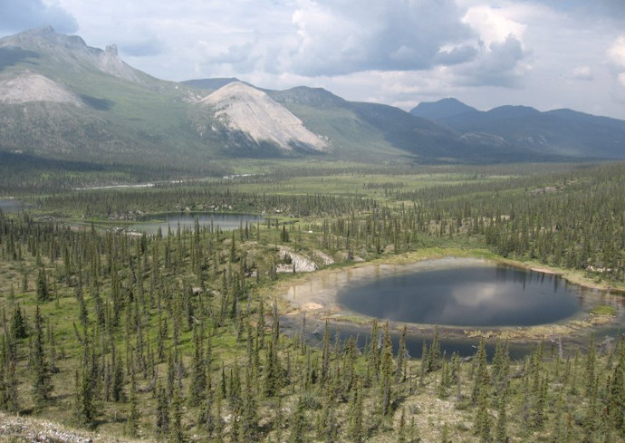 Professor Receives National Science Foundation Grant to Test Boreal Forests’ Blood Pressure