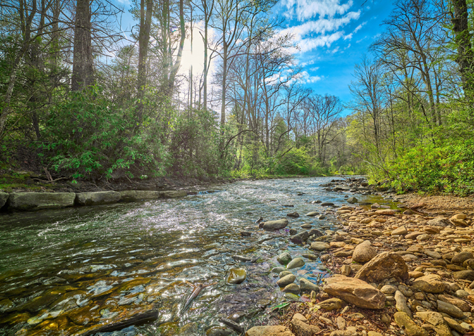 A Machine Learning Approach to Freshwater Analysis