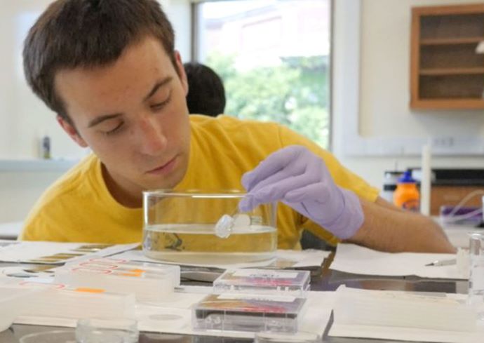 BioInspired Institute Awards 2 Cross-Institutional Project Grants