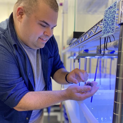 biology professor Austin Garner holding a sea urchin in his lab