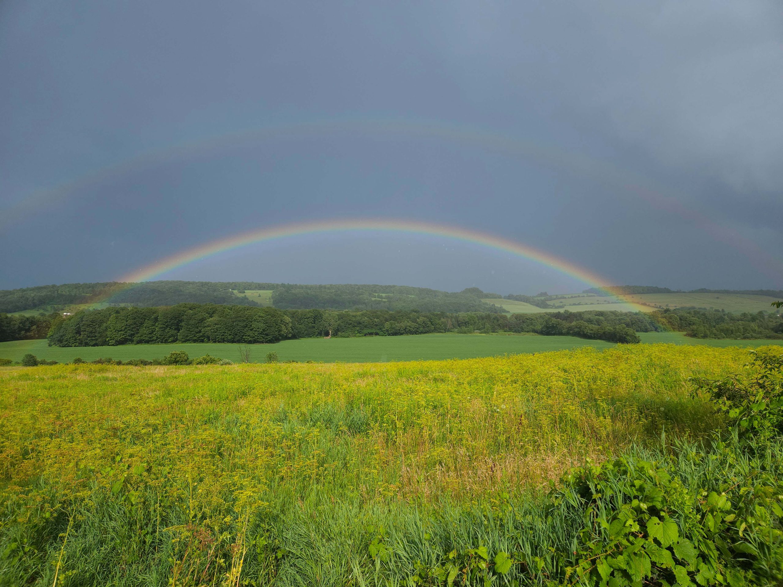 Double rainbow over a green field.