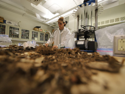 ECS Student Trygve Moler Digs Deep Into Soil Analysis