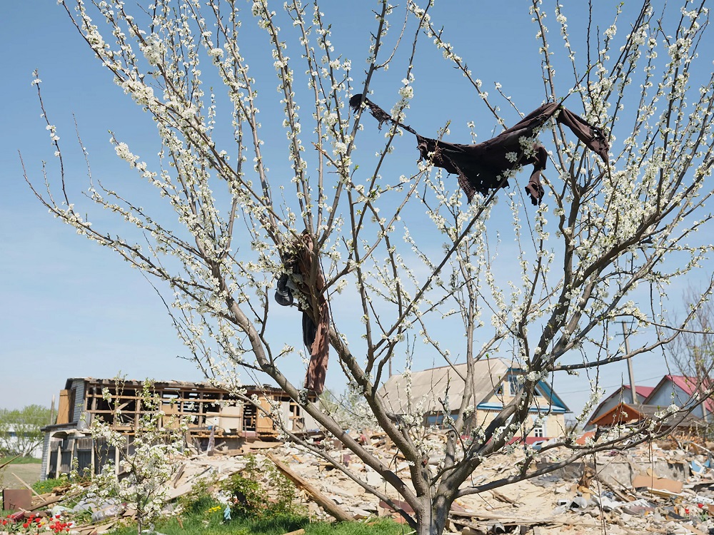 clothing hanging in trees