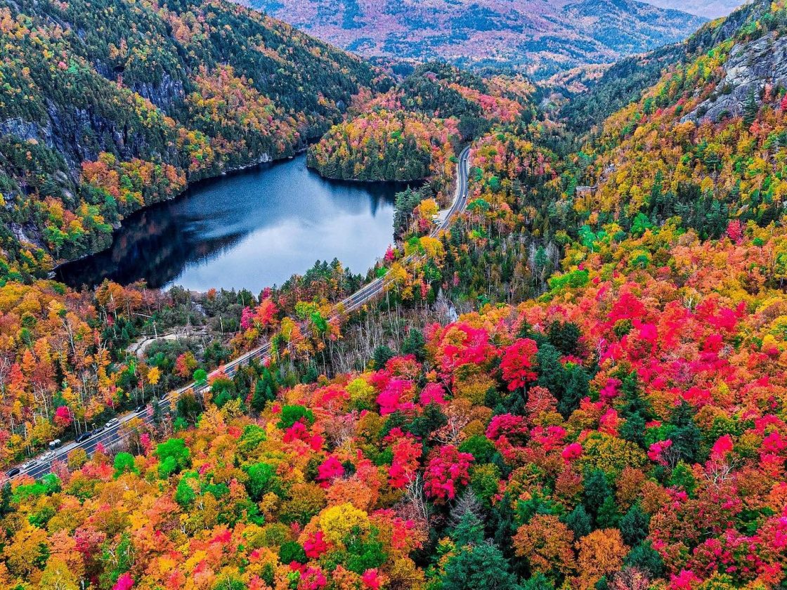 What’s Happening in CNY: Your Fun Fall Activity Guide