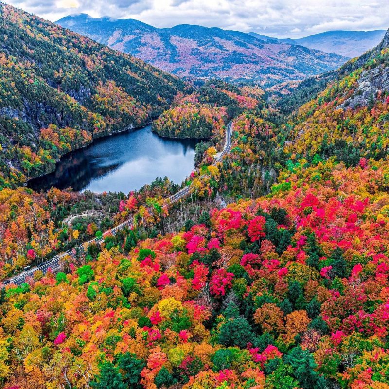 What’s Happening in CNY: Your Fun Fall Activity Guide