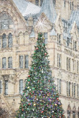 Snow Falling on the Christmas Tree 