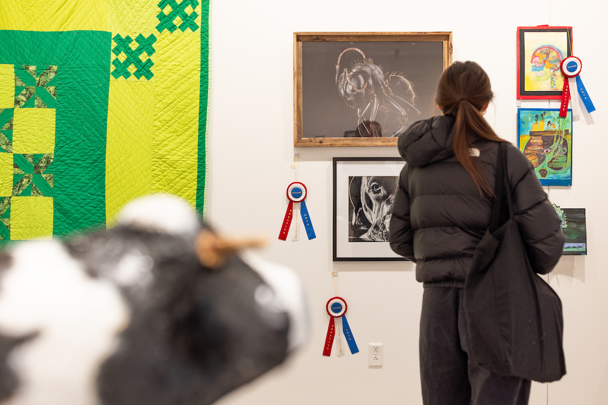 an individual views artwork on display at the National Veterans Resource Center Gallery