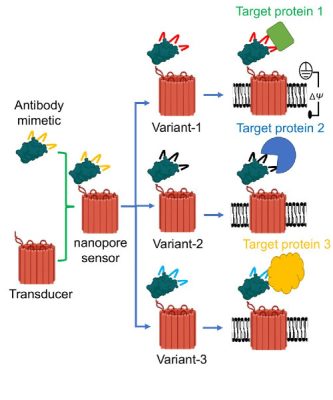 Nanopore sensor graphic