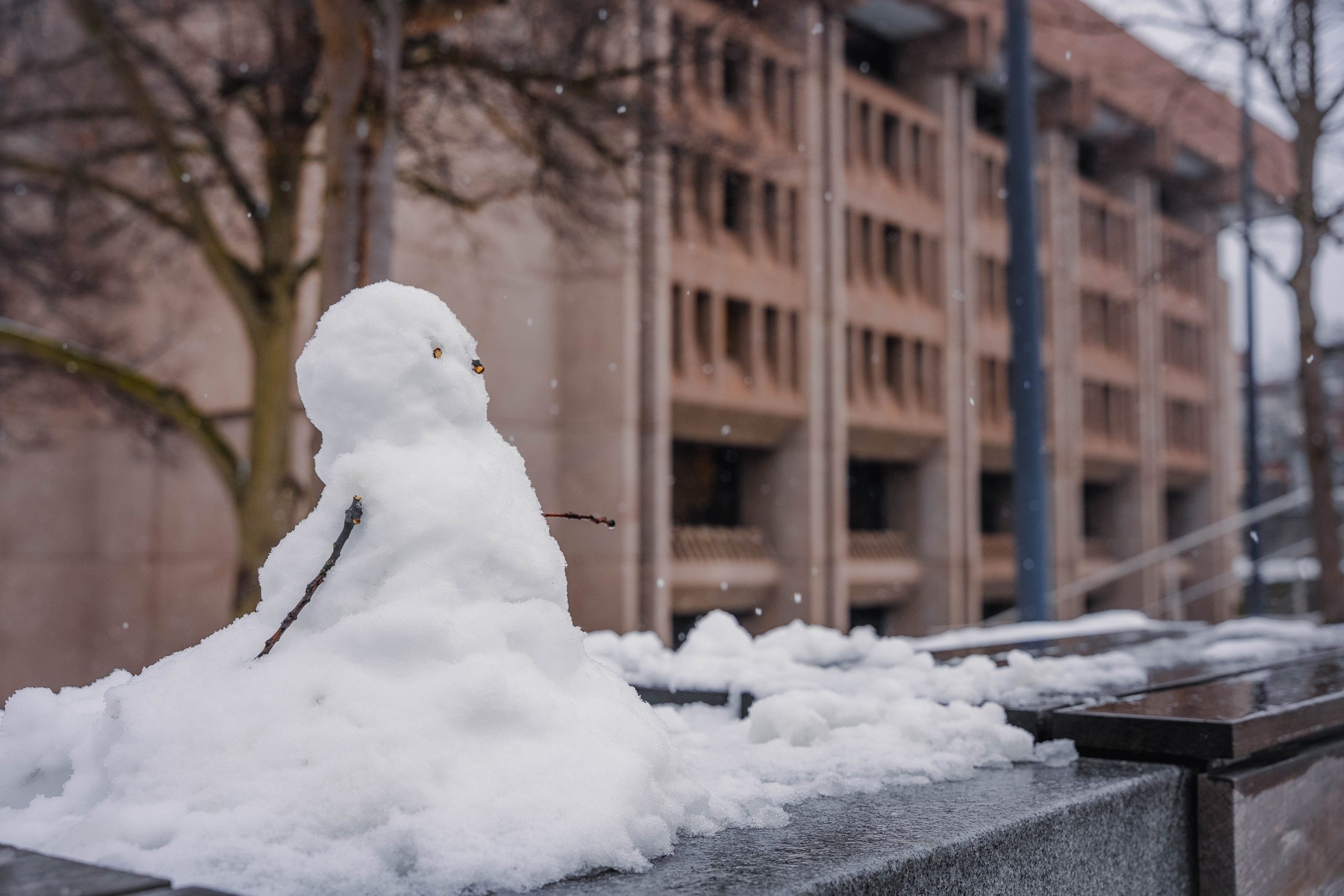Snowman on wall in front of Bird Library