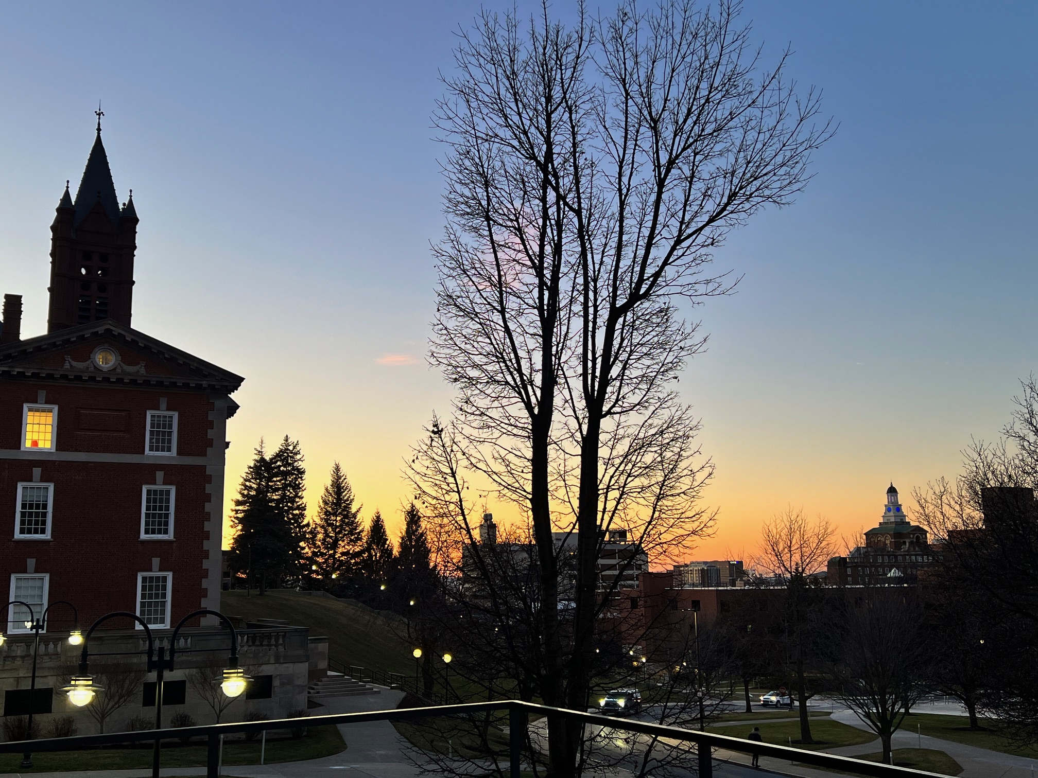 Sun setting on campus overlooking a barren tree.