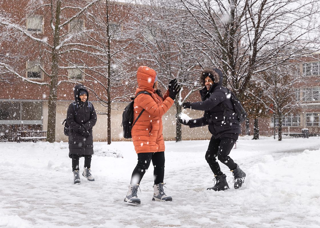 What’s Happening in CNY: Your Winter Activity Guide