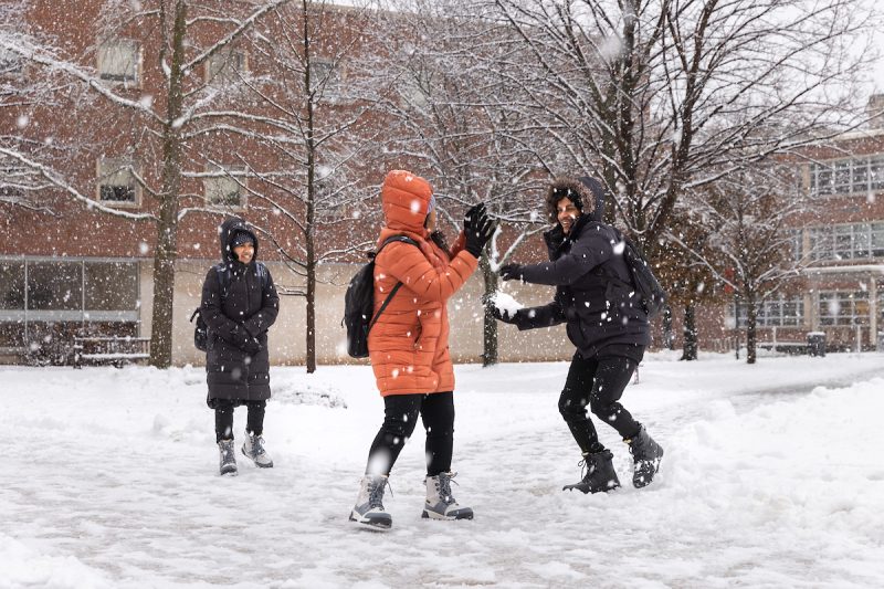 What’s Happening in CNY: Your Winter Activity Guide