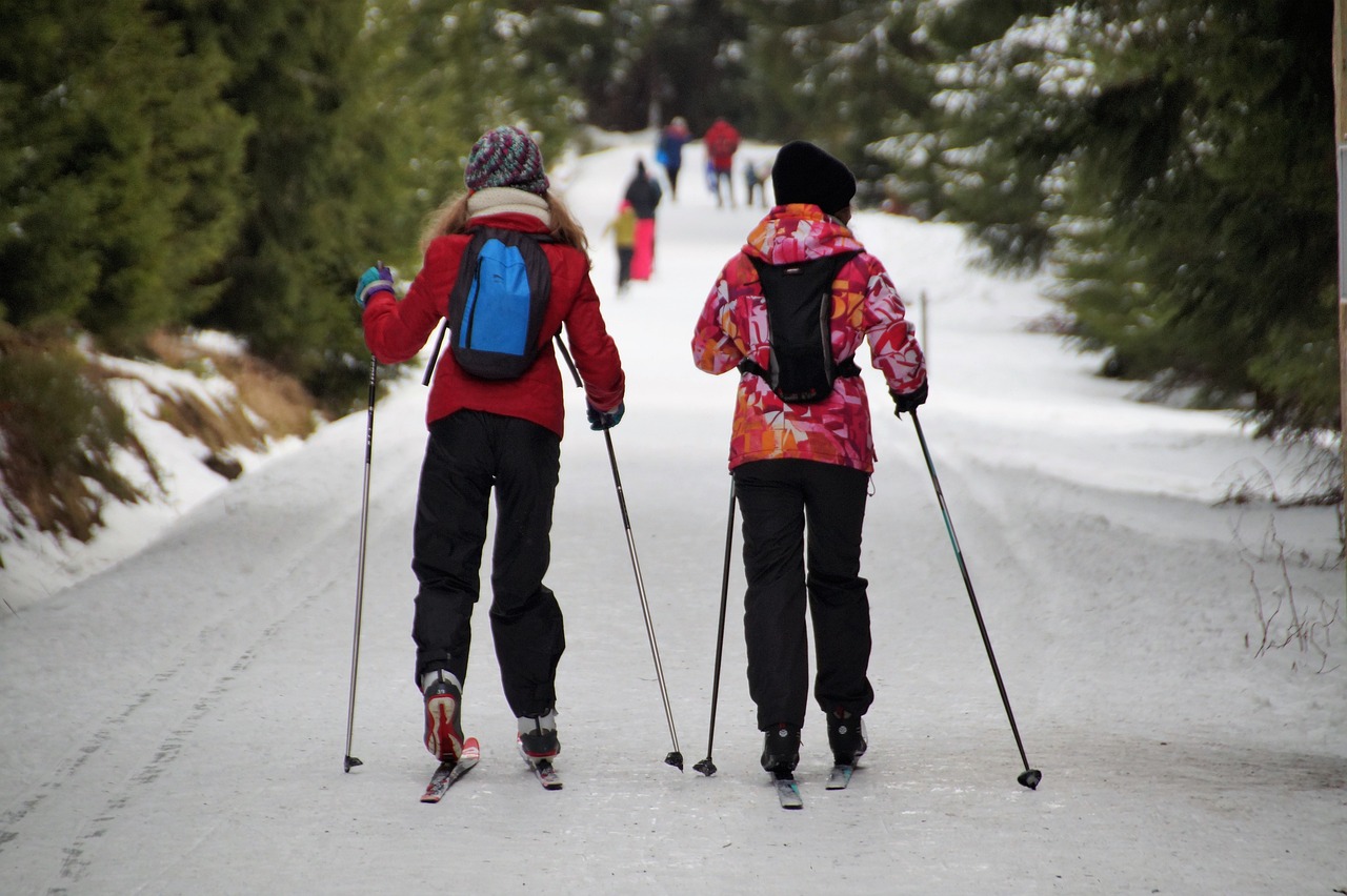 Two people cross-country skiing