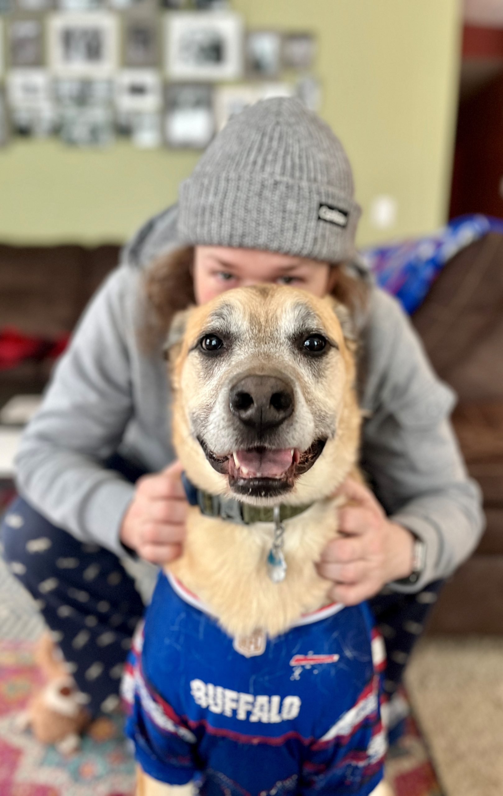 Dog in Bills Jersey with a man behind him. 