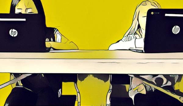 Ganders graphic, two women at laptops