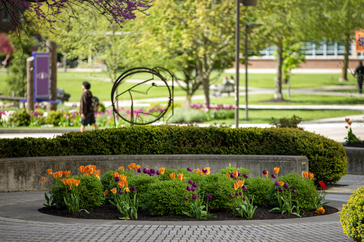 Flowers in bloom in the sculpture garden on main campus.