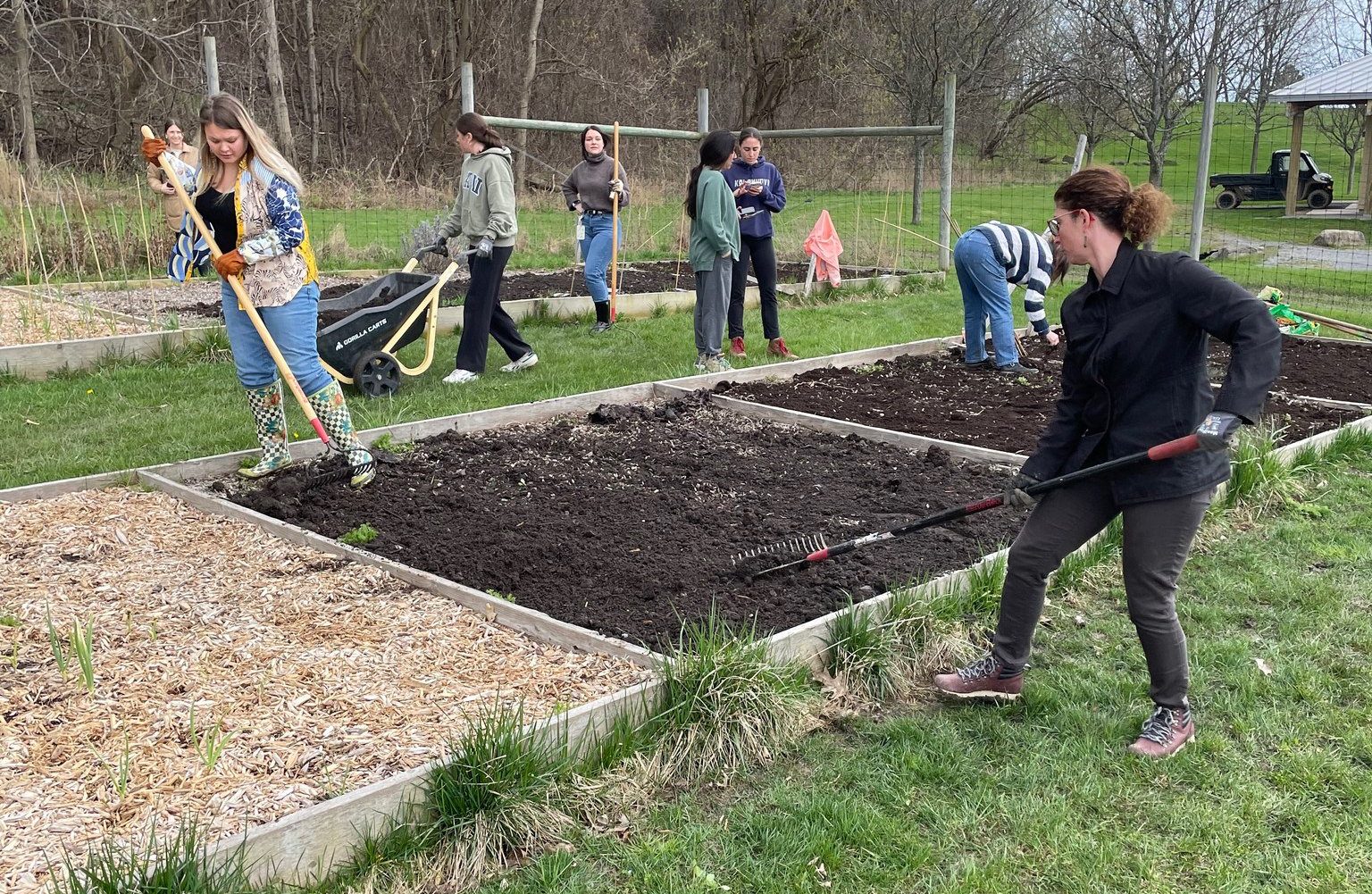 People working in a garden