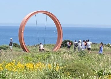grassy field and waterway with large circle swing design