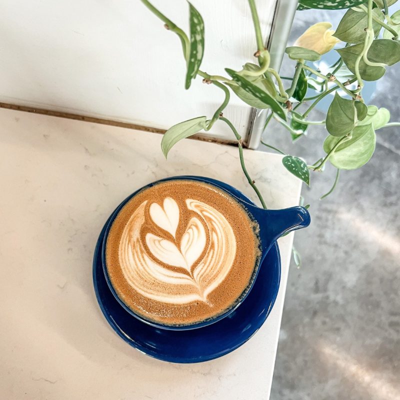 Spilling the Beans: Best Spots to Snag Coffee Around Campus