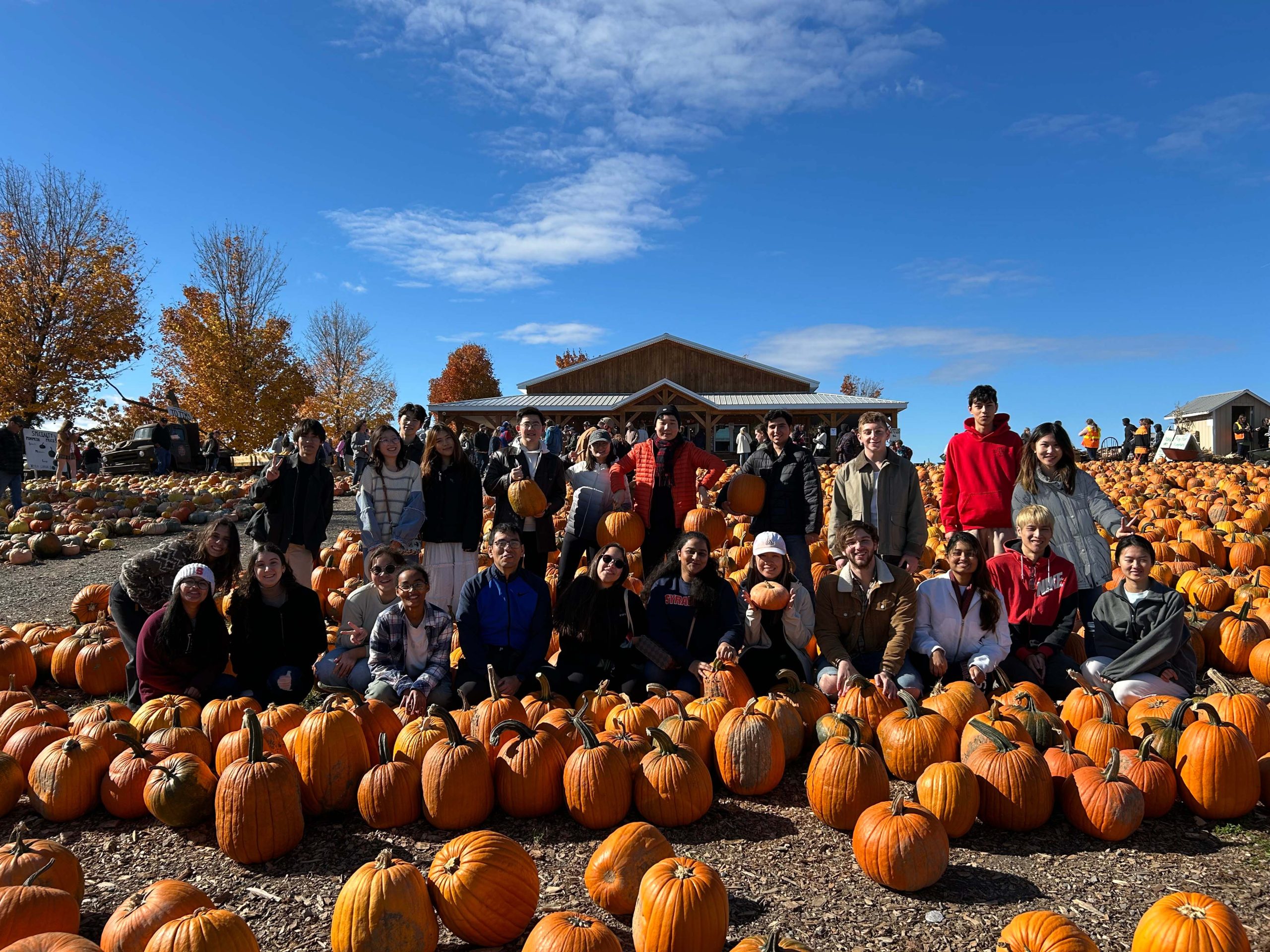 Group of people standing amidst numerous pumpkins at a pumpkin patch on a sunny day.