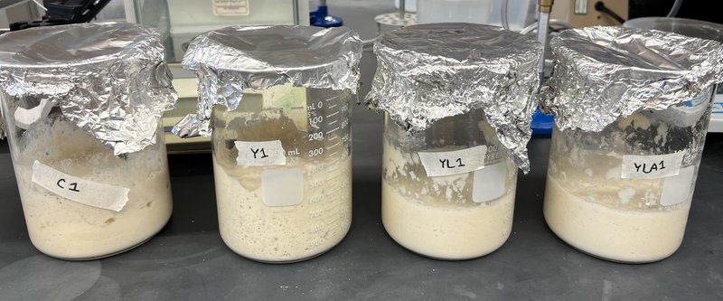 Tool to Enhance the Taste and Texture of Sourdough